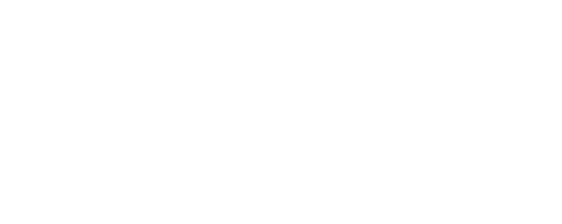 Türev Logo